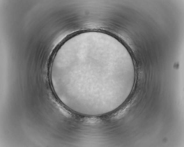 X0000093561023200711051033