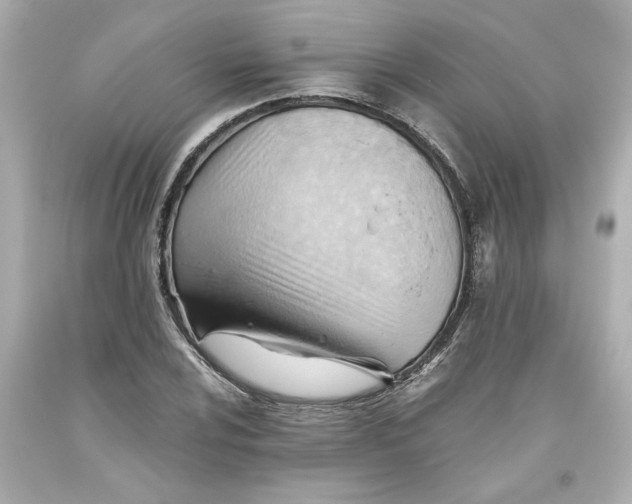 X0000093561024200711051033