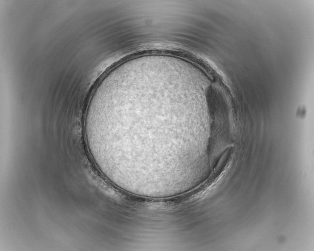 X0000093561025200711051033