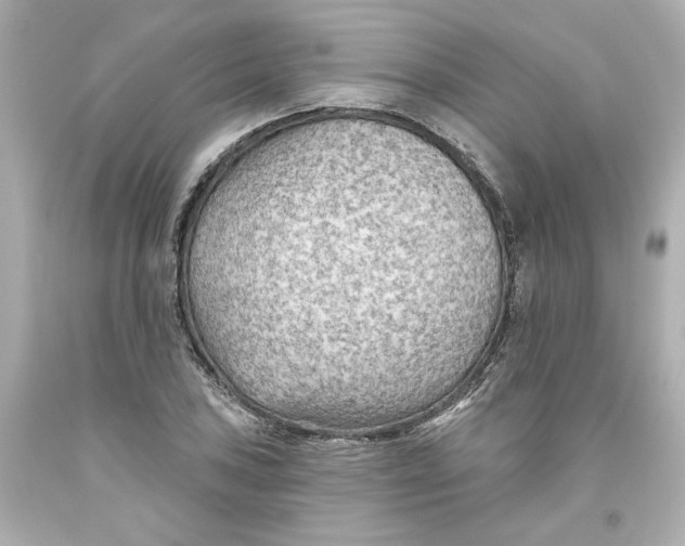 X0000093561027200711051033