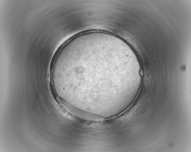 X0000093561028200711051033