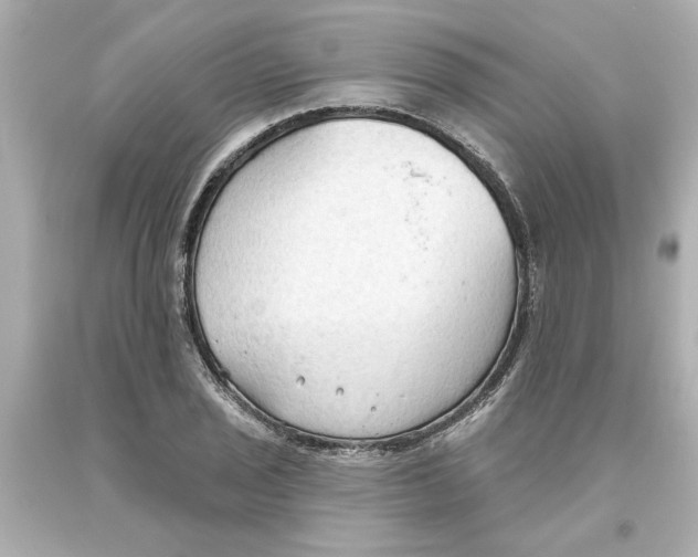 X0000093561029200711051033