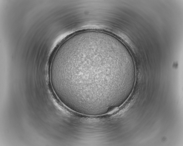 X0000093561030200711051033