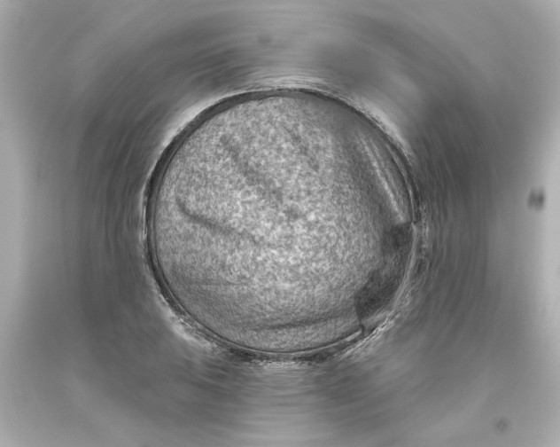 X0000093561031200711051033