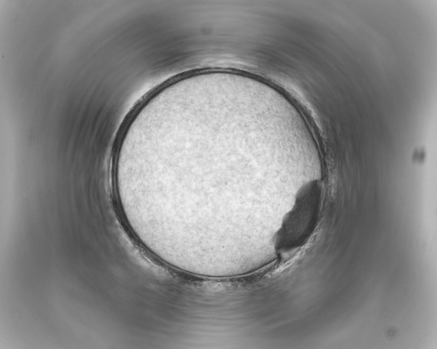 X0000093561032200711051033