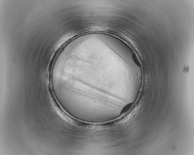 X0000093561034200711051033