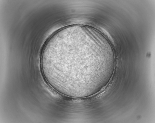 X0000093561035200711051033