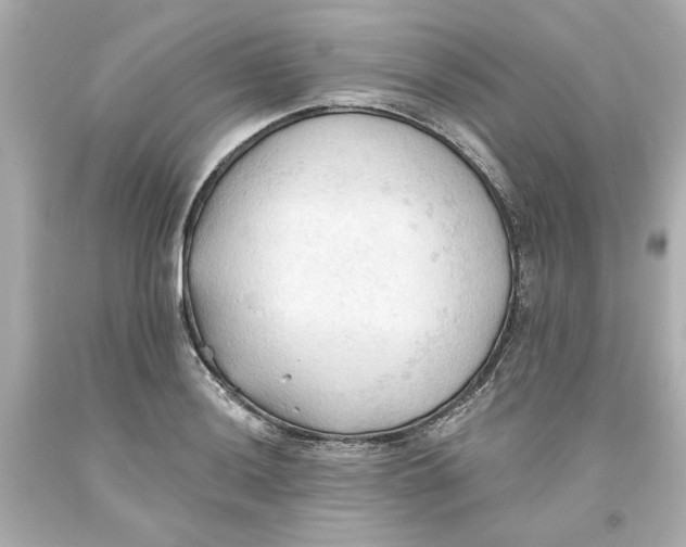 X0000093561036200711051033