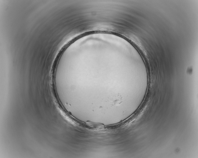 X0000093561037200711051033