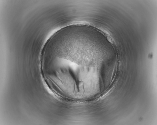 X0000093561038200711051033