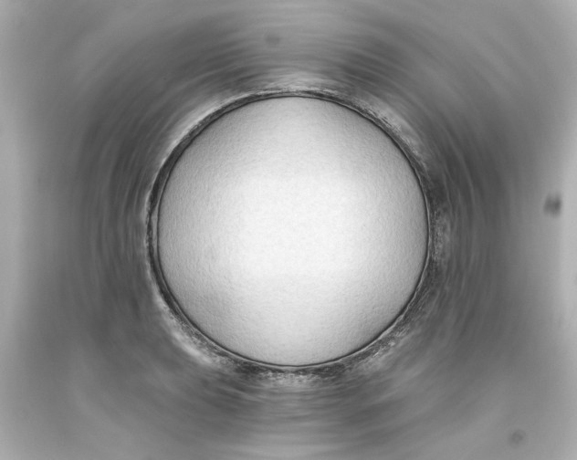 X0000093561039200711051033