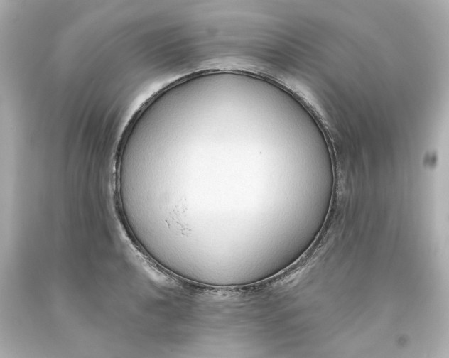 X0000093561040200711051033