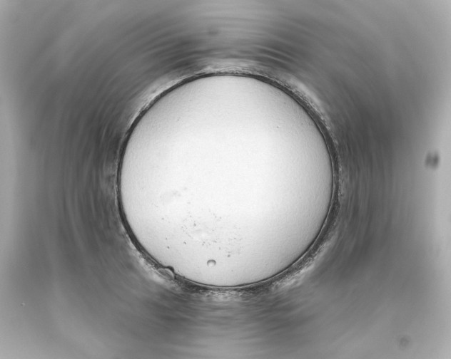 X0000093561041200711051033