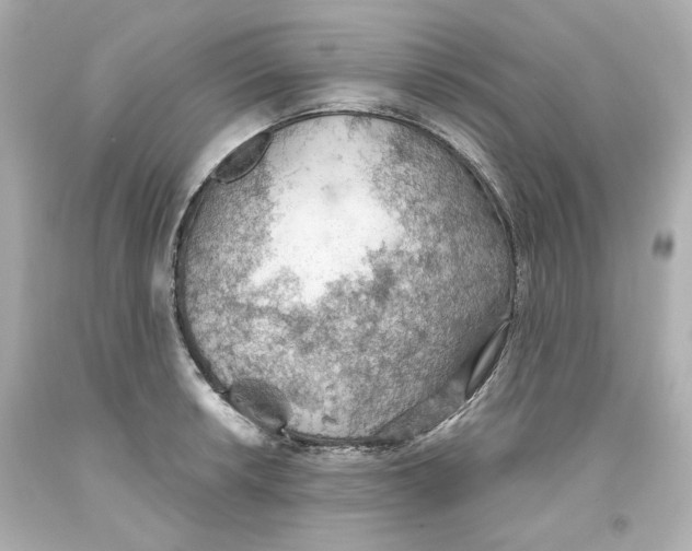 X0000093561042200711051033