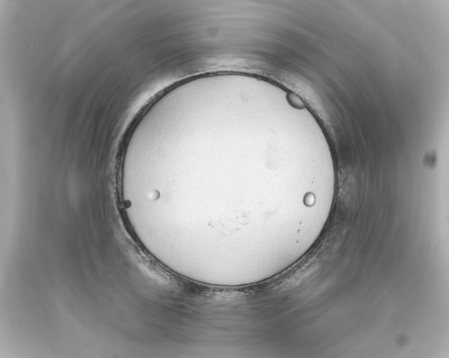 X0000093561043200711051033