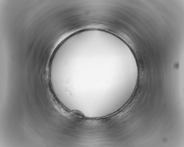 X0000093561044200711051033