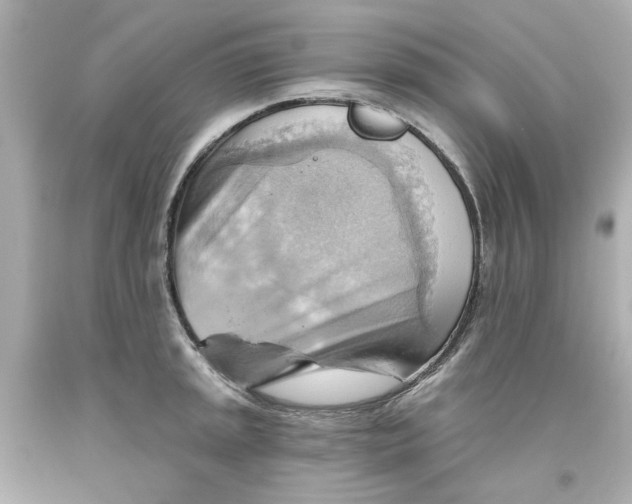 X0000093561045200711051033