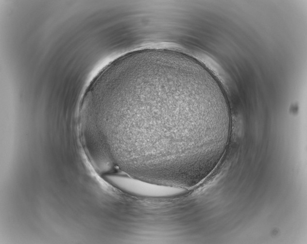 X0000093561046200711051033