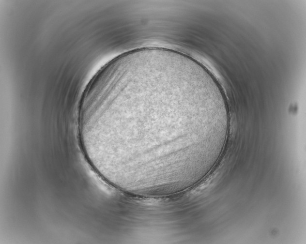 X0000093561048200711051033