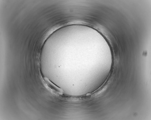 X0000093561049200711051033