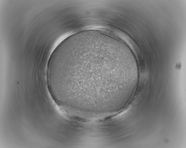 X0000093561050200711051033