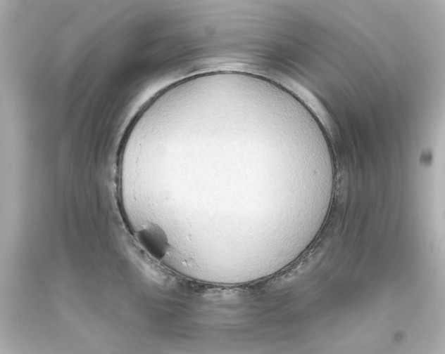 X0000093561051200711051033