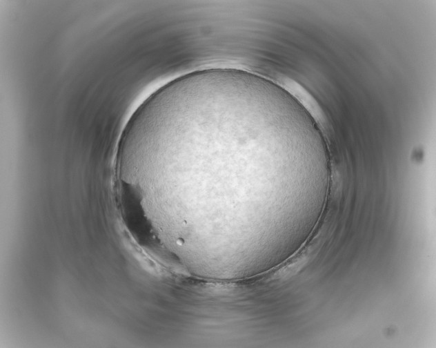 X0000093561052200711051033