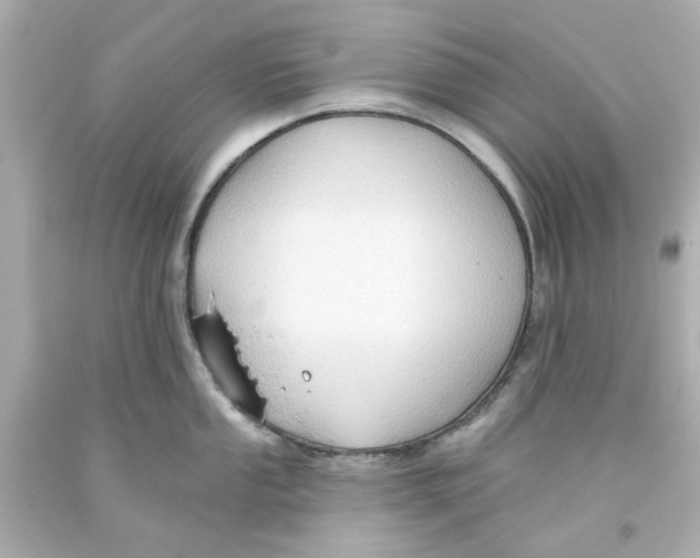 X0000093561053200711051033