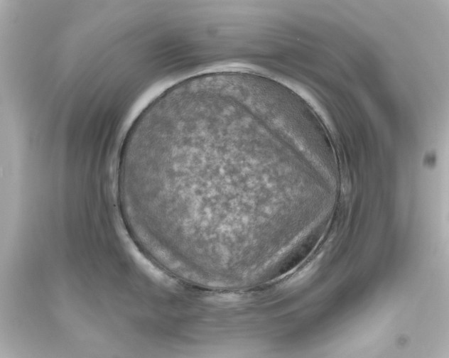 X0000093561054200711051034