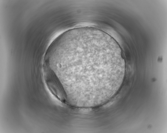 X0000093561055200711051034