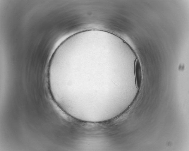 X0000093561056200711051034