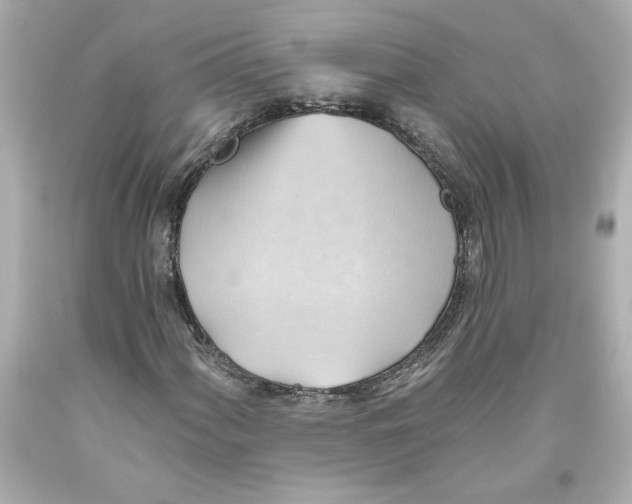 X0000093561060200711051033