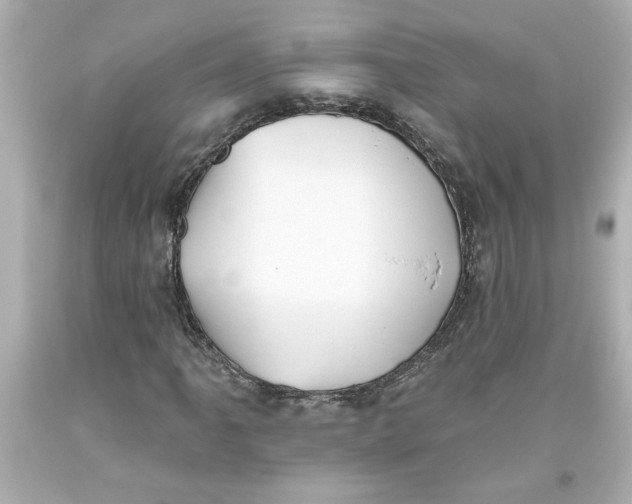 X0000093561061200711051033