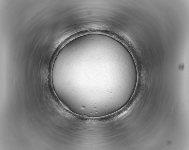 X0000093561065200711051033