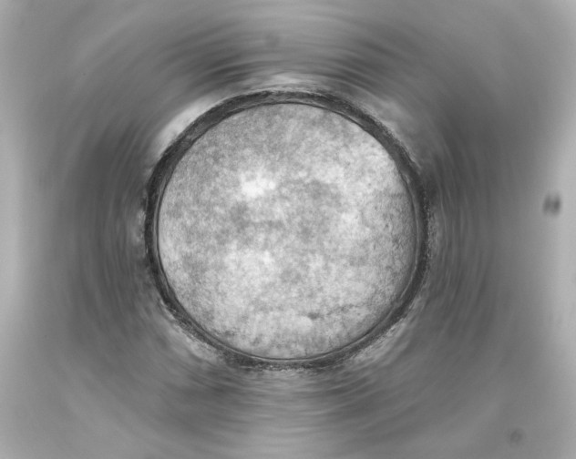 X0000093561066200711051033