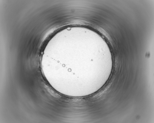 X0000093561067200711051033