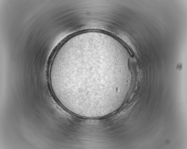 X0000093561068200711051033