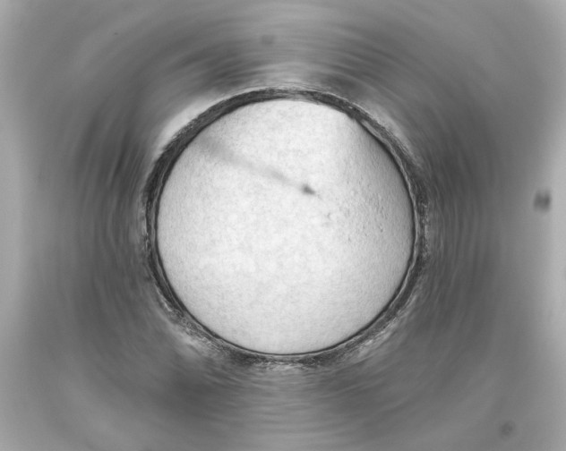 X0000093561070200711051033