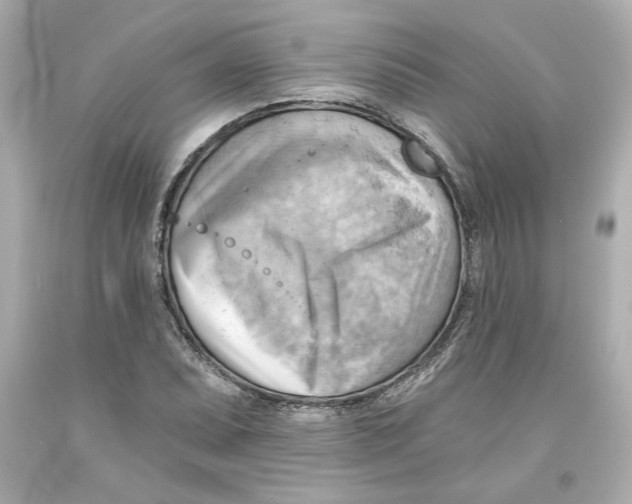 X0000093561071200711051033