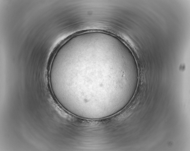 X0000093561072200711051033