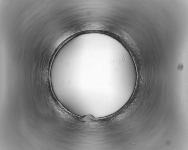 X0000093561073200711051033