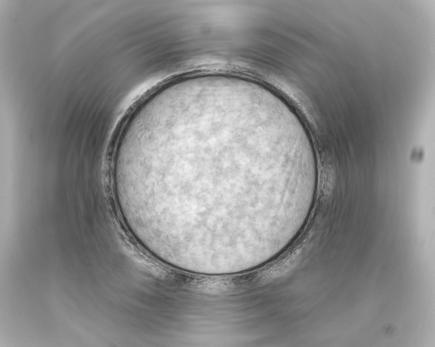 X0000093561074200711051033