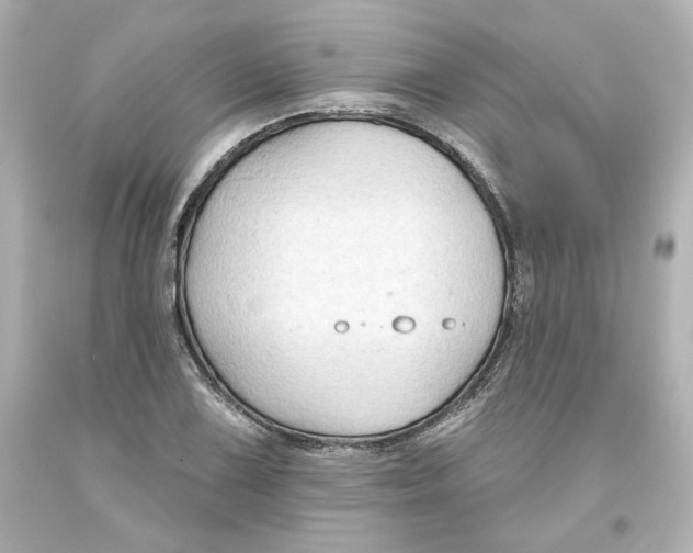 X0000093561075200711051033