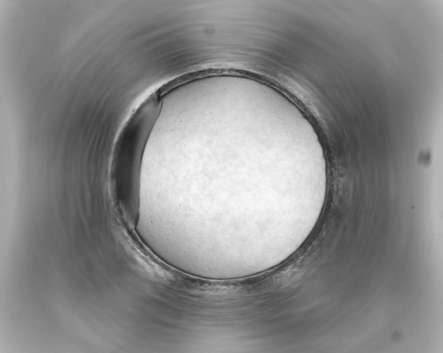 X0000093561076200711051033