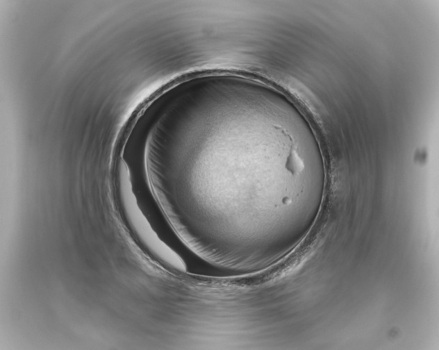 X0000093561077200711051033