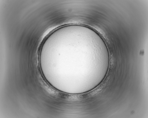 X0000093561078200711051033