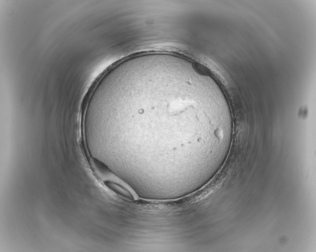 X0000093561079200711051033