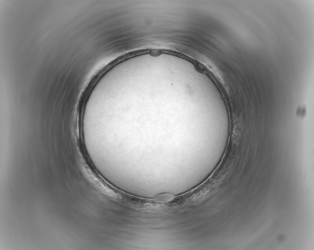 X0000093561080200711051033