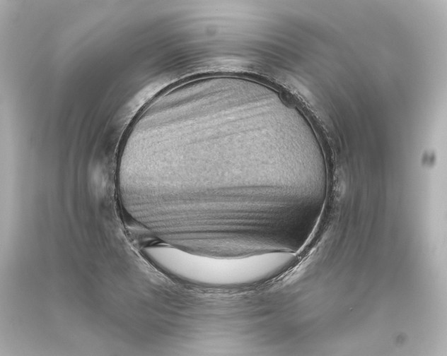 X0000093561081200711051033