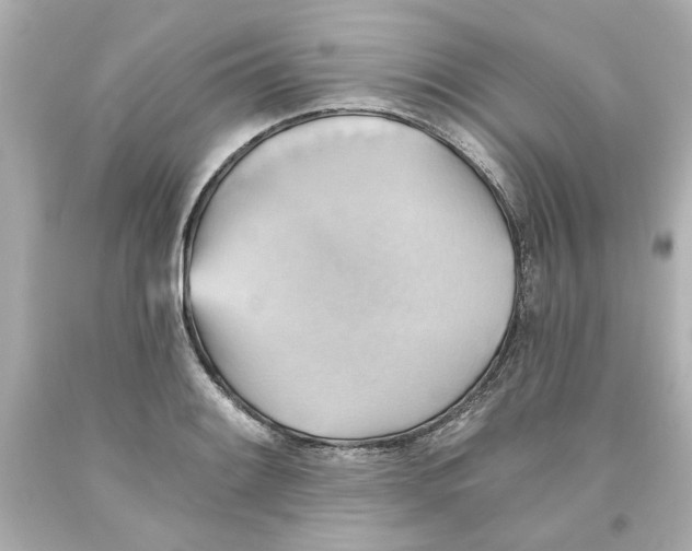 X0000093561084200711051033